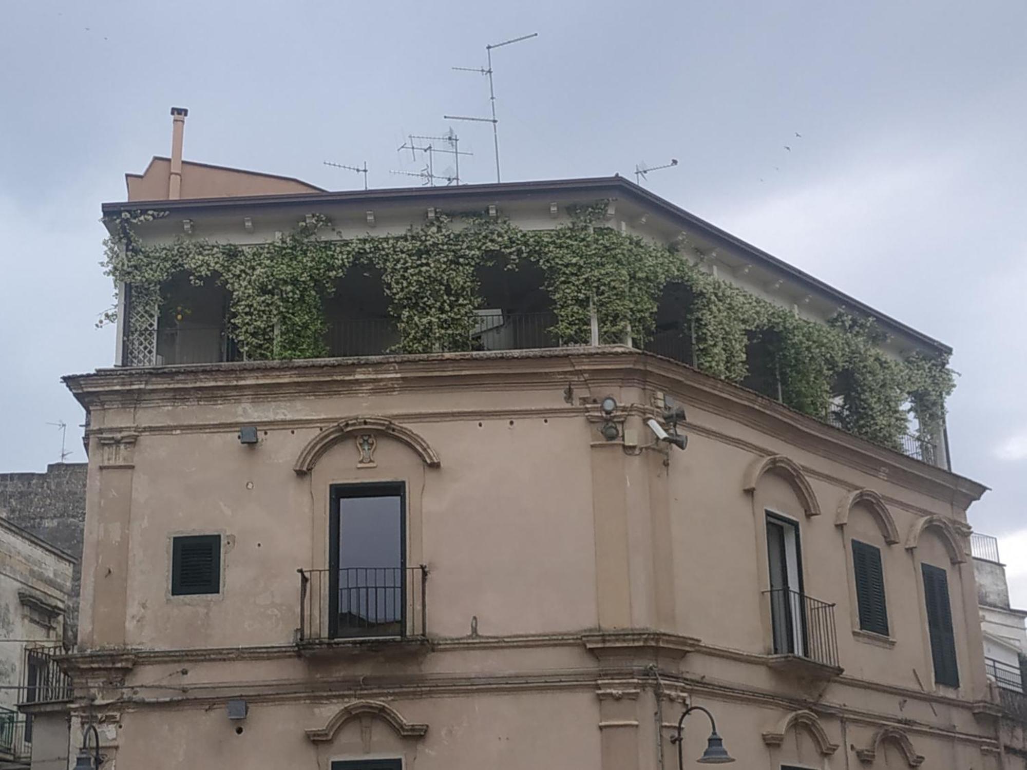 Miro' Rooms Gravina in Puglia Exterior foto